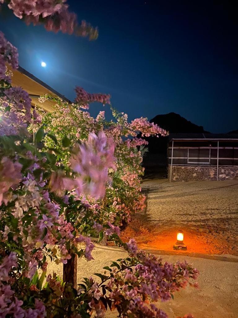 Moon Night Camp 호텔 와디럼 외부 사진